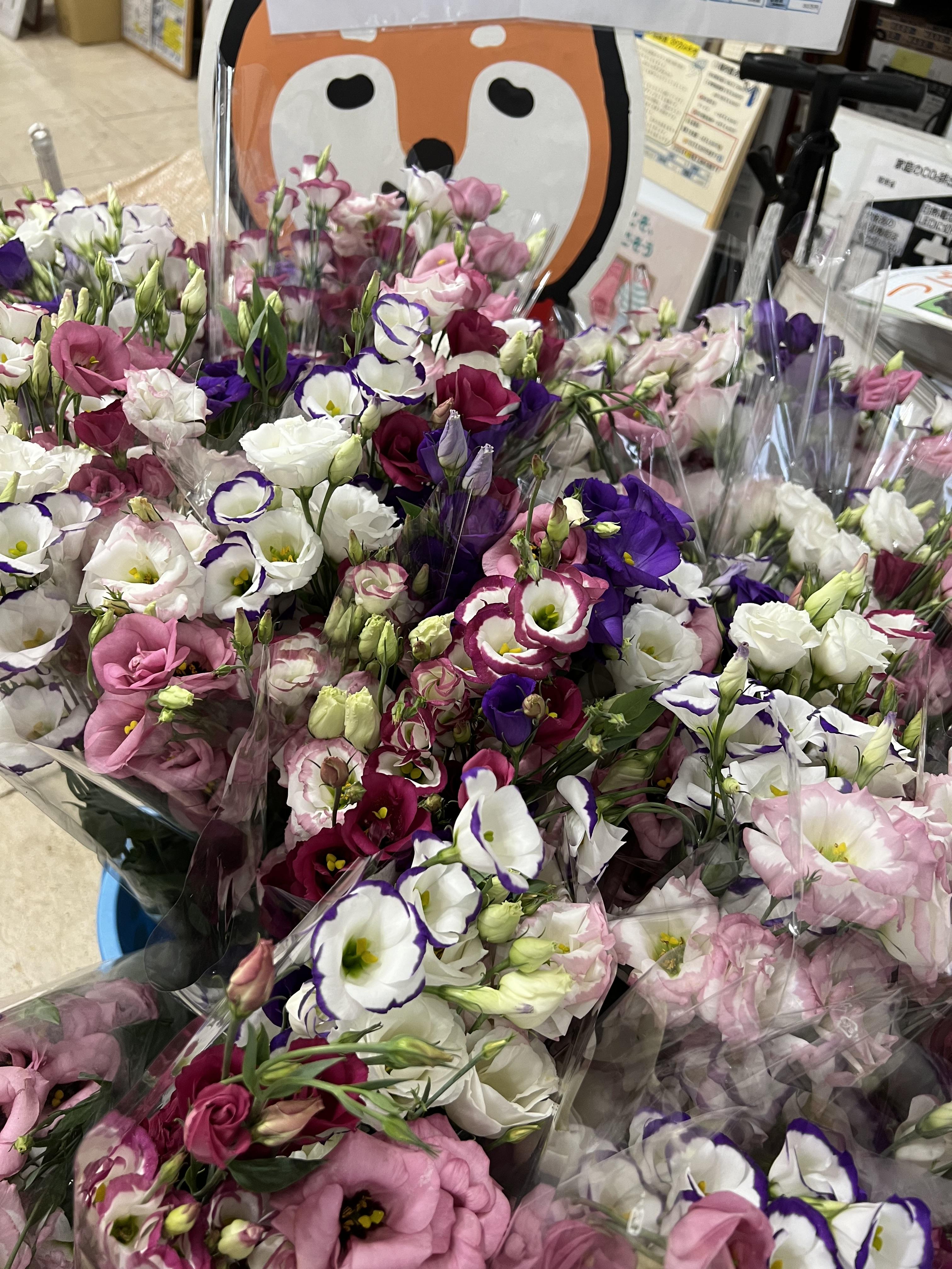 鳥取中央店】1日だけのお花屋さん 今夏もやってまーす｜【公式】MADO